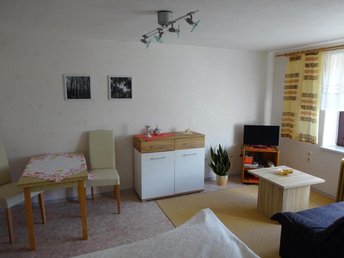 Apartment Erzgebirgsdomizil Am Schwartenberg Neuhausen (Saxony)