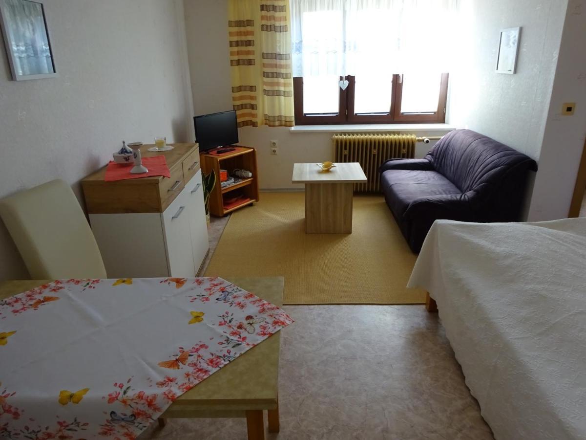 Erzgebirgsdomizil Am Schwartenberg Apartment Neuhausen (Saxony)