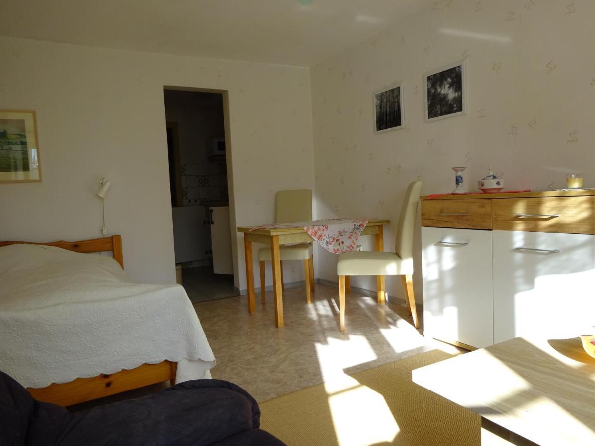 Apartment Erzgebirgsdomizil Am Schwartenberg Neuhausen (Saxony)